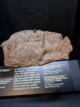 ACN ラムセス大王展 ファラオたちの黄金に投稿された画像（2026/1/1）