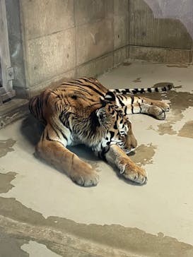 天王寺動物園に投稿された画像（2026/1/1）
