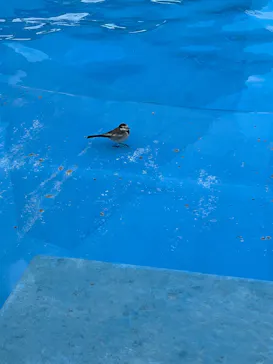 名古屋港水族館に投稿された画像（2026/1/1）