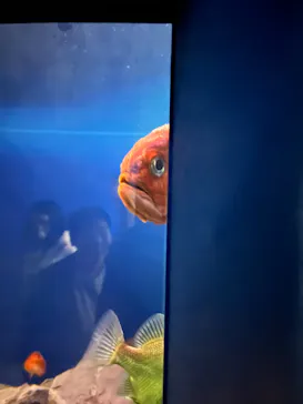 名古屋港水族館に投稿された画像（2026/1/1）