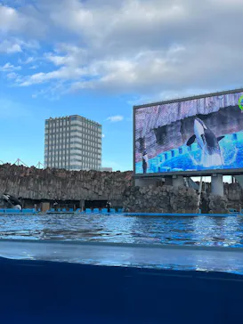 名古屋港水族館に投稿された画像（2026/1/1）