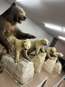 奥飛騨クマ牧場に投稿された画像（2026/1/1）