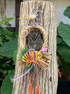 掛川花鳥園に投稿された画像（2026/1/1）