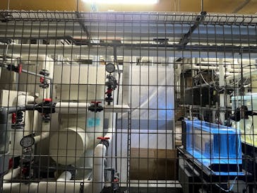 サンシャイン水族館に投稿された画像（2026/1/1）