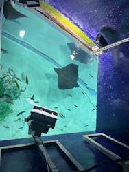 サンシャイン水族館に投稿された画像（2026/1/1）