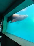 大分マリーンパレス水族館 「うみたまご」に投稿された画像（2026/1/1）