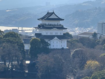 小田原城に投稿された画像（2026/1/1）