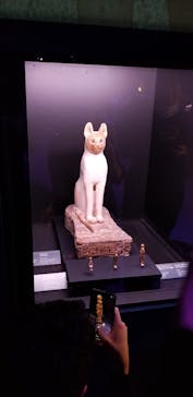 ACN ラムセス大王展 ファラオたちの黄金に投稿された画像（2026/1/1）