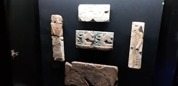 ACN ラムセス大王展 ファラオたちの黄金に投稿された画像（2026/1/1）