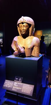 ACN ラムセス大王展 ファラオたちの黄金に投稿された画像（2026/1/1）