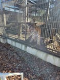 宇都宮動物園に投稿された画像（2026/1/1）