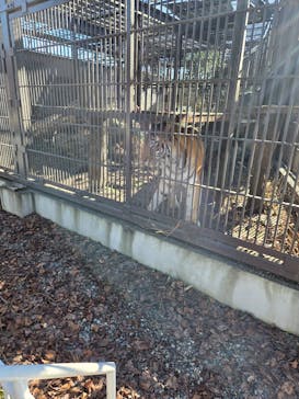 宇都宮動物園に投稿された画像（2026/1/1）