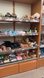 世界淡水魚園水族館　アクア・トトぎふに投稿された画像（2026/1/1）