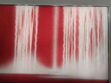 東京国立博物館に投稿された画像（2026/1/1）