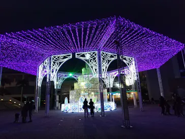 横浜・八景島シーパラダイスに投稿された画像（2026/1/1）