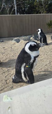 マリンワールド海の中道に投稿された画像（2026/1/1）