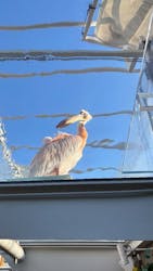 サンシャイン水族館に投稿された画像（2026/1/1）