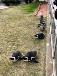 マリンワールド海の中道に投稿された画像（2026/1/1）