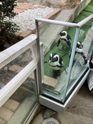 マリンワールド海の中道に投稿された画像（2026/1/1）