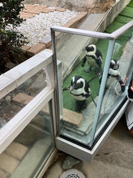 マリンワールド海の中道に投稿された画像（2026/1/1）