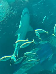 マリンワールド海の中道に投稿された画像（2026/1/1）