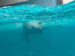 マリンワールド海の中道に投稿された画像（2026/1/1）