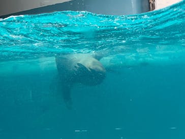 マリンワールド海の中道に投稿された画像（2026/1/1）