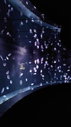 サンシャイン水族館に投稿された画像（2026/1/1）