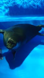 サンシャイン水族館に投稿された画像（2026/1/1）