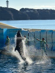新江ノ島水族館に投稿された画像（2026/1/1）