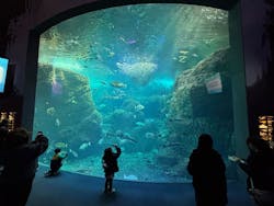 新江ノ島水族館に投稿された画像（2026/1/1）