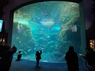 新江ノ島水族館に投稿された画像（2026/1/1）