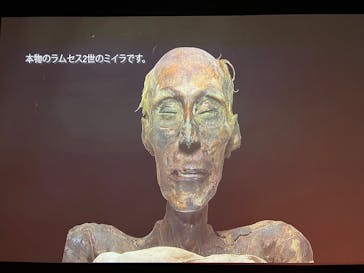 ACN ラムセス大王展 ファラオたちの黄金に投稿された画像（2026/1/1）