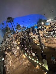 福井県立恐竜博物館に投稿された画像（2026/1/1）