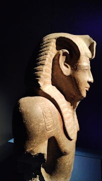 ACN ラムセス大王展 ファラオたちの黄金に投稿された画像（2026/1/1）