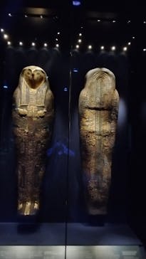 ACN ラムセス大王展 ファラオたちの黄金に投稿された画像（2026/1/1）