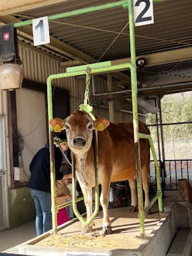 那須高原りんどう湖ファミリー牧場に投稿された画像（2026/1/1）