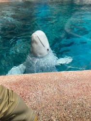 名古屋港水族館に投稿された画像（2026/1/1）