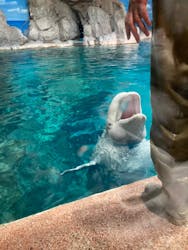 名古屋港水族館に投稿された画像（2026/1/1）