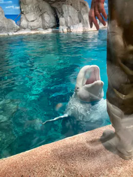 名古屋港水族館に投稿された画像（2026/1/1）