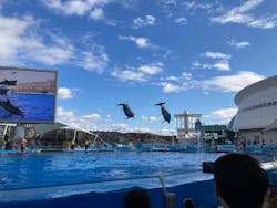 名古屋港水族館に投稿された画像（2026/1/1）