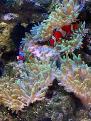 京都水族館に投稿された画像（2026/1/1）