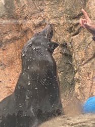 京都水族館に投稿された画像（2026/1/1）