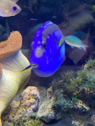 京都水族館に投稿された画像（2026/1/1）