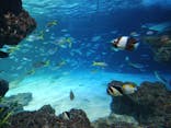 サンシャイン水族館に投稿された画像（2026/1/2）