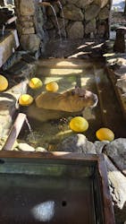 長崎バイオパークに投稿された画像（2026/1/1）