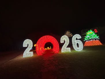 大阪城イルミナージュに投稿された画像（2026/1/1）