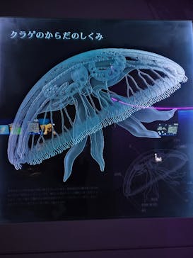 島根県立 しまね海洋館に投稿された画像（2026/1/1）