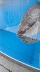 島根県立 しまね海洋館に投稿された画像（2026/1/1）