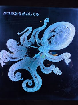 島根県立 しまね海洋館に投稿された画像（2026/1/1）